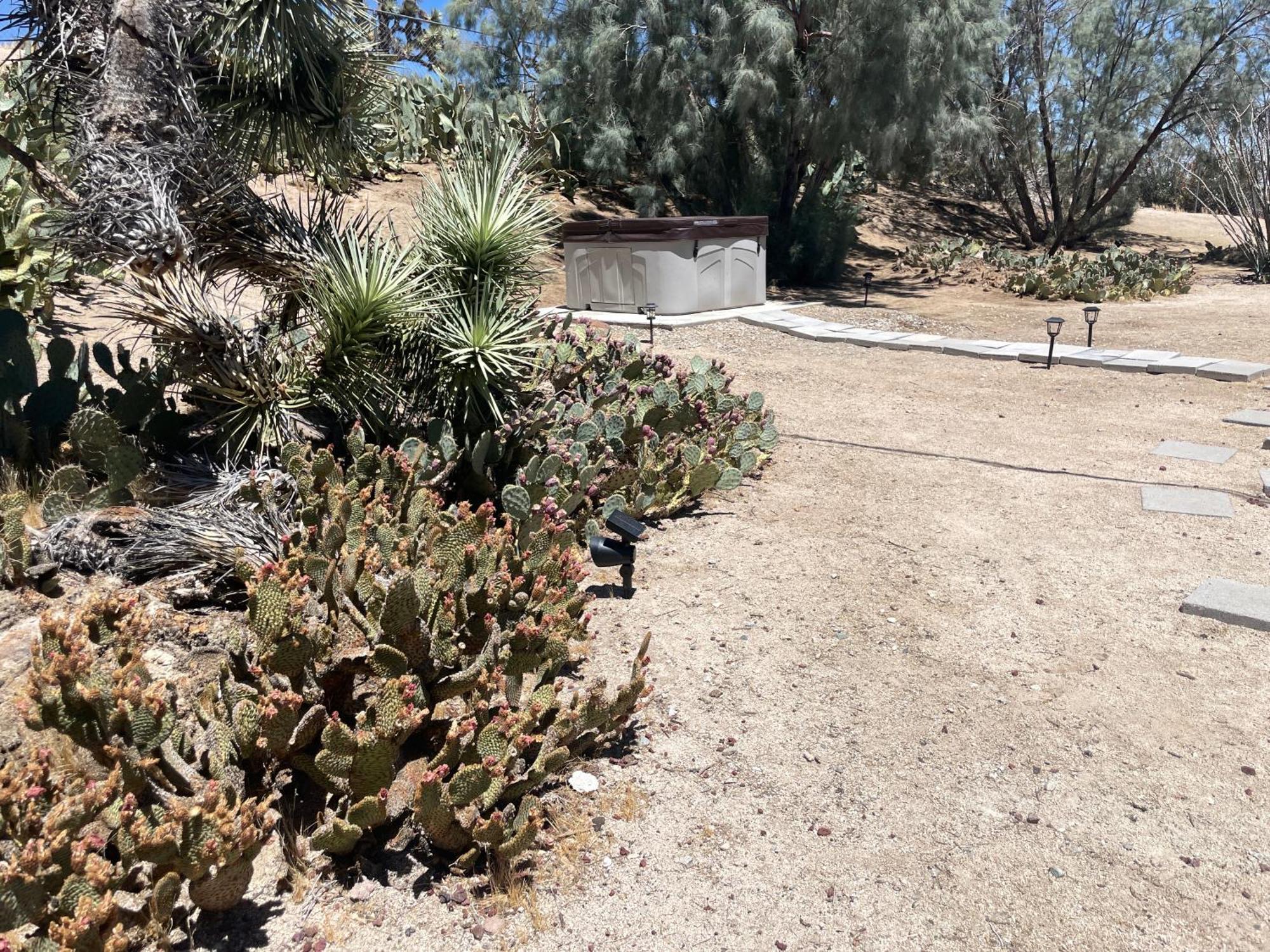 Mojave Desert Pied-A-Terre Yucca Valley Esterno foto